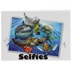 Subitodisponibile Calamita da Frigo con Selfie di Animali Animali del Mare by Howard Robin 0J82