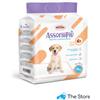 RECORD Best Bone Assorbipiù Tappetini assorbenti per cani 10pz 60x60 cm