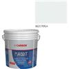 Colorificio Carson Pittura al quarzo fino per esterno Rivestimento Murale esterni Carson Magrit