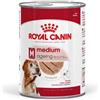 Royal Canin 12 Pz 410g Royal Canin Medium Ageing in patè cani maturi e anziani taglia media
