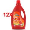 SOLE 12 X Sole Detersivo Bucato A Mano E Lavatrice Liquido E Capi Delicati Colorati