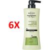 BIOPOINT 6 X Biopoint Professional Liscio Assoluto Shampoo Formula Ultra Setosita' 5 Azi