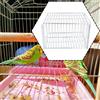 Gabbia trappola per piccioni 15,75"x11,81"x10,24" Gabbietta per piccioni per