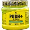4+ NUTRITION PUSH+ 360 GR Energy