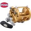 Penn Mulinello PENN Saltwater Conventional 2 Speed International VI 50VISW Gold
