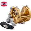 Penn Mulinello PENN Saltwater Conventional 2 Speed International VI 50VISX Gold