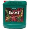 Canna Boost Accelerator Stimolatore Fioritura Maggiore Resa Aroma Raccolto
