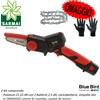 BLUE BIRD Asta telescopica Forbici Potatore mini motosega batteria BLUE BIRD kit potatura