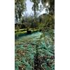 MANIFATTURA QUATTRO F RETE PER OLIVE - RETE FITTA VERDE ANTISPINE X RACCOLTA OLIVE ROTOLO MT 50 PROF