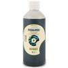 BIOBIZZ Fish Mix Fertilizzante Bio Stimolare per Crescita Piante e Terriccio