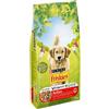 Friskies CROCCHETTE PER CANI PURINA FRISKIES VITAFIT ACTIVE MANZO CROCCANTINI 10kg ADULTI