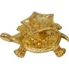Crafthut Diya Olio Lampada Con 5 Stoppini Ottone Tartaruga Base per Pooja Fengshui Vaastu