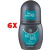 Breeze 6 X Breeze Deodorante Roll-on Men Dry Protection 50 Ml