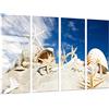 Cuadros Camara Quadro su Legno, Cielo del Mare della Spiaggia, Conchiglie delle Stelle sulla Sabbia, 131 x 62cm, Stampa in qualita Fotografica. Ref. 27060