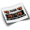 ADESIVI COMPATIBILI RWP-313 FOX FLOAT DPS AMMORTIZZATORI 2021 MOD 1 STICKER