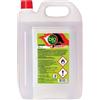biosprint Bioetanolo INODORE combustibile liquido per biocamino bio etanolo