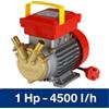 Rover Pompe elettropompa pompa autoadescante da 0,5 0,8 1 HP per travaso liquidi vino 220v