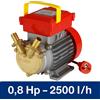 Rover Pompe elettropompa pompa autoadescante da 0,5 0,8 1 HP per travaso liquidi vino 220v
