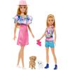 Mattel BOX ROTTO BARBIE STACIE RESCUE Box 2 Bambole 2 CUCCIOLI Cane Gatto Mattel HRM09