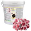 Ossian RAT CONTROL PASTA Bromadiolone esca topicida veleno topi ratti 5 KG