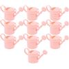 10 Pcs Lattina Di Annaffiatura Da Giardino Annaffiatoio Per Fiori