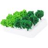 Accessori Per Diorama Piante Artificiali Vegetazione in Miniatura