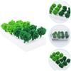 Accessori Per Diorama Piante Artificiali Vegetazione in Miniatura