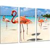 Cuadros Camara Poster Moderno Fotografico Paesaggio Fenicotteri sulla Spiaggia, 97 x 62 cm, rif. PST26424