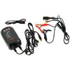 AEG 005183 Caricabatteria Auto Elettronico 4A