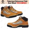 Timberland Waterproof Field Boot Wheat TB1A18RI231 taglia uomo