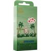 AMOR STIMOLANTI AMOR WILD DREAMS 12 PZ Preservativi profilattici con creste
