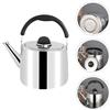 Bollitore da tè fischio Bollitore piatto Bollitore in acciaio inox ACCIAIO IN