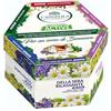 L'Angelica, Cofanetto Tisane Calde, Tisane Funzionali Active, Ventre Piatto, Dopo Pasto, Giusta Regola, Calma Colon, Della Sera Rilassante, Sollievo Stomaco, 60 Filtri