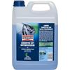 AREXONS Lavavetri DP1 Antimoscerini Pronto all'Uso, Detergente per Vaschetta Lavacristalli Auto, Fragranza Limone, 4.5L
