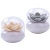 2 Pcs Porta Cotone Dischetti Dello Contenitore Per Stuzzicadenti