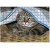 IGORMARKET ✅PUZZLE 30x40 IDEA REGALO ADULTI PERSONALIZZATO CON UNA TUA FOTO 192 PEZZI ✅