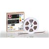Paulmann 78448 Strip LED Pro Gold P150 965 5m 62W 1600lm/m 160LEDs/m 6500 K Striscia LED