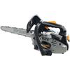 Alpina MOTOSEGA POTATURA A SCOPPIO 2 TEMPI 25,4cc LAMA CARVING 25cm ALPINA
