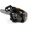 Alpina MOTOSEGA POTATURA A SCOPPIO 2 TEMPI 26,9CC LAMA STANDARD 25cm ALPINA