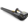 Alpina SOFFIATORE A BATTERIA 48V 2Ah VELOCITA' MAX 55m/sec 650W ABL 48 Li KIT ALPINA