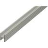 Alberts 474959 Profilo ad H | Alluminio, anodizzato argento | 2000 x 13,5 x 22 mm