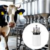 Accessorio per pompa a vuoto per contenitore dell'olio mungitrice