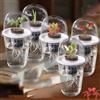 Kit per sistema di coltivazione idroponica Beet Yard Lawn Lab Kit per la