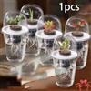 Kit per sistema di coltivazione idroponica Beet Yard Lawn Lab Kit per la