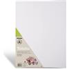 HOBBY & PROFESSIONAL PRIMO Hobby & Professional- Tela per Dipingere in Cartoncino 30x40x0,4 100% Cotone, Cartone Telato Pittura Colori Acrilici Olio Acquerelli - Tele per Dipingere Hobby Creativi Acid Free non Ingiallisce