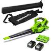 GreenWorks 48V(2x24V) Aspirafoglie Soffiatore a Batteria con Tracolla Motore Brushless