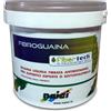 Naici FIBROGUAINA GRIGIA guaina liquida monocomponente fibrorinforzata 5 KG