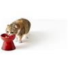 Le Creuset Ciotola per animali domestici con supporto alto Le Creuset cibo acqua microon...