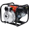 Leo Group Leo LGP Alta Prevalenza - Motopompa a Scoppio 6,5 HP