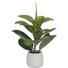BigBuy Home Pianta Ornamentali Verde PVC Quercia 58 cm